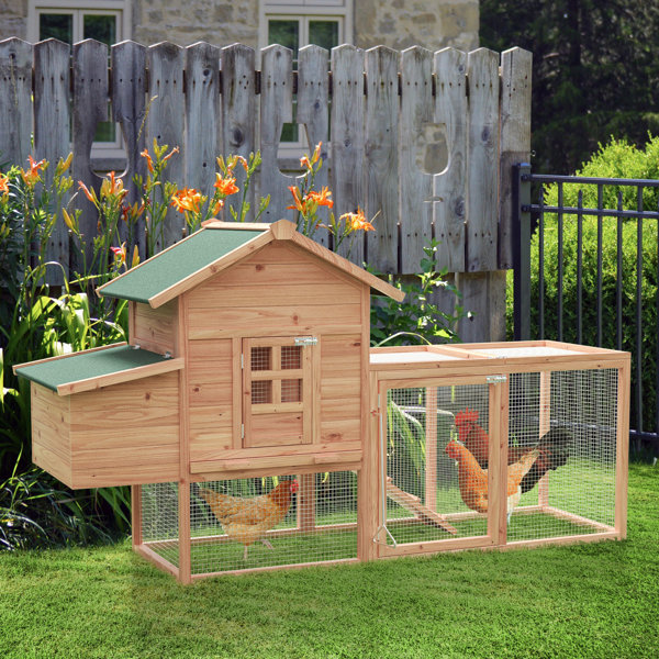 Tucker Murphy Pet™ Clairese 14 Square Feet Chicken Coop with Roosting